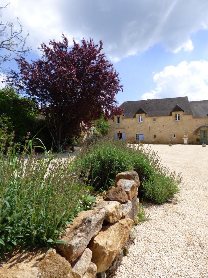 Britavit Bed & Breakfast Saint-Avit-Sénieur Exterior foto