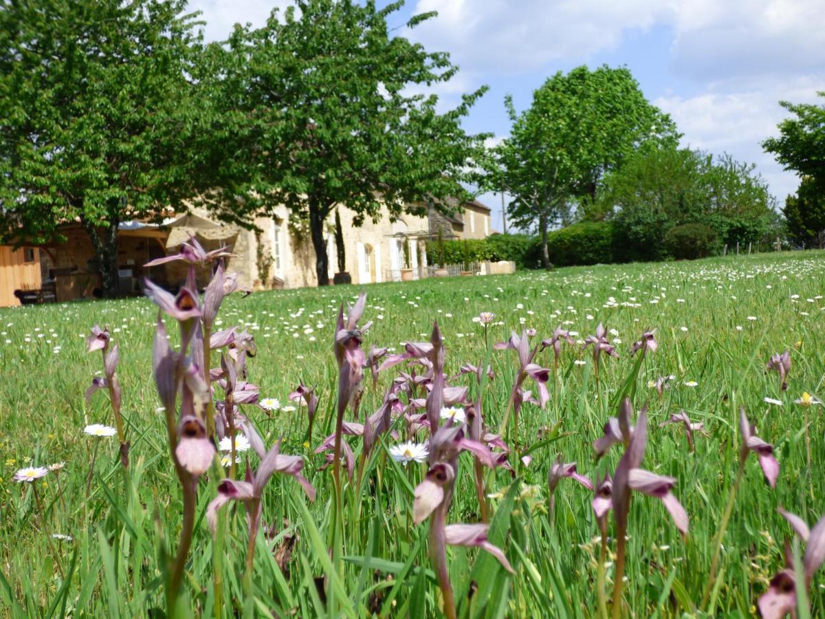 Britavit Bed & Breakfast Saint-Avit-Sénieur Exterior foto