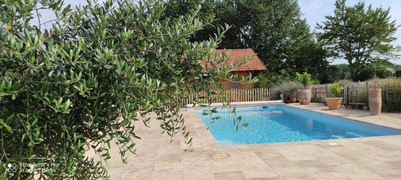Britavit Bed & Breakfast Saint-Avit-Sénieur Exterior foto
