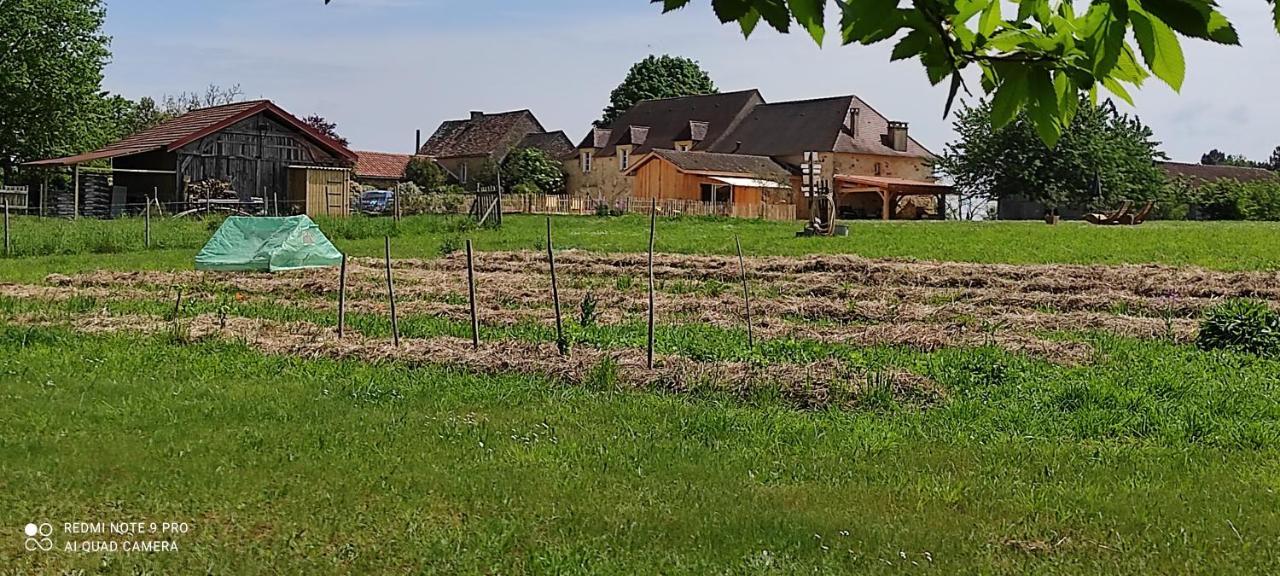 Britavit Bed & Breakfast Saint-Avit-Sénieur Exterior foto