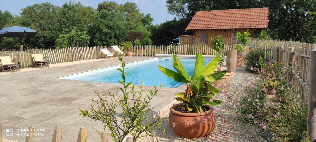 Britavit Bed & Breakfast Saint-Avit-Sénieur Exterior foto